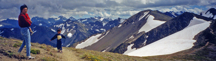 Hurricane Ridge in Olympic Mountains of Washington