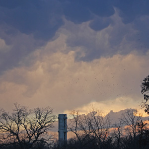 Mammatus clouds in Washington Park, Springfield, Illinois