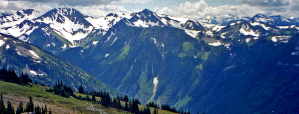 Hurricane Ridge in Olympic Mountains of Washington