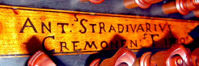Stradivarius Neck