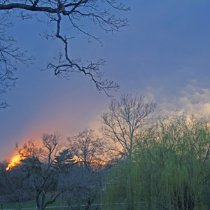 Sunset in Washington Park on March 15, 2016