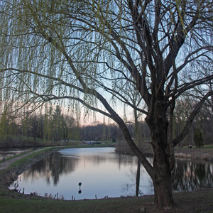 Lake in Washington Park