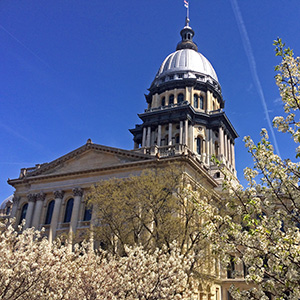 Illinois State Capitol with trees in blossom on April 5th, view from the west of the state house