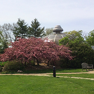 The botanical gardens in Washington Park
