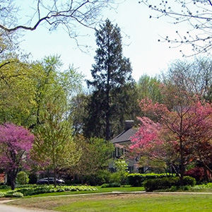 Springfield neighborhood on April 23rd