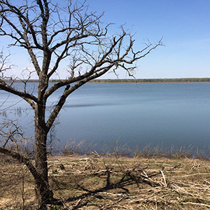 Illinois River in Chatauqua National Wildlife Refuge