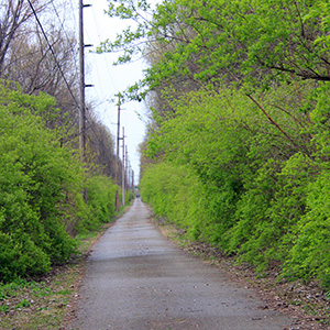 The Interrurban Trail south of Woodson Road