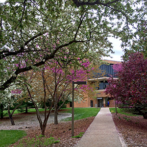 Path toward PAC on the UIS campus