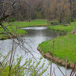 Polecat Creek 臭鼬河 seen from Interurban Trail