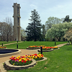 Washington Park scene on April 18th