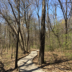 The interpretive nature trail in the Chautauqua National Wildlife Refuge, along the Illinois River