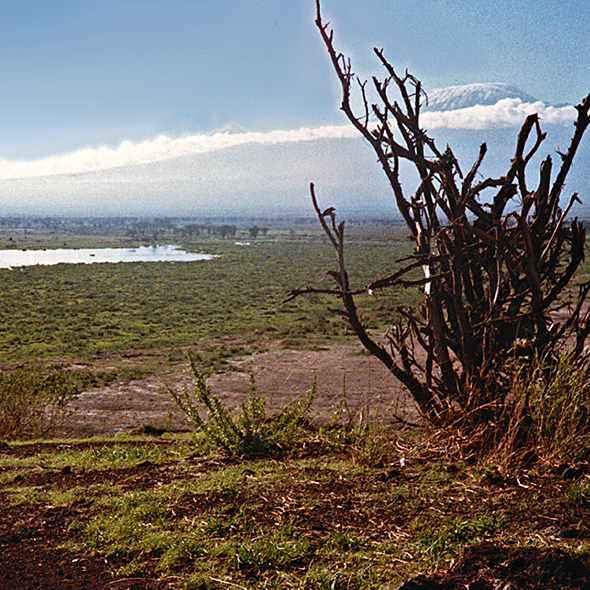 The plains stretch out, with Kilimanjaro towering above the plains