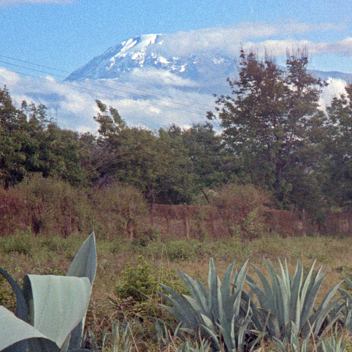 Mount Kilimanjaro