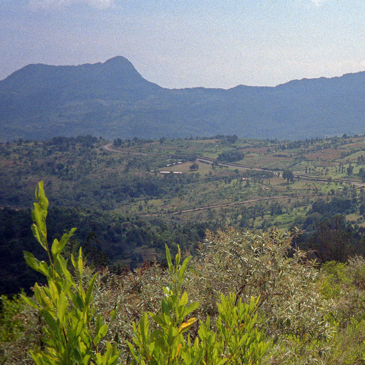 Looking over the countryside east of Kabarnet, looking toward Morop Hills