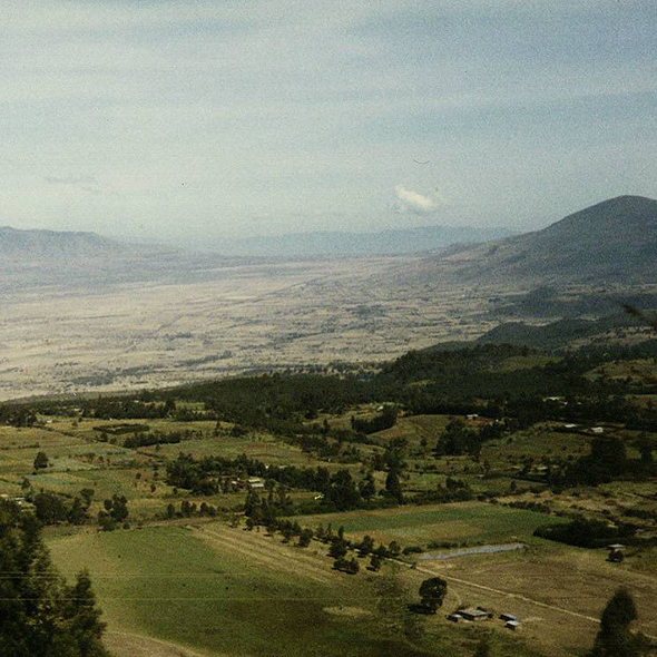 The central valley below the highlands