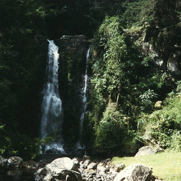 A waterfall in the shadows