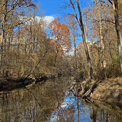 November scenery along Heron Pond trail