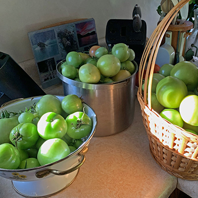 Baskets of green tomatoes on a counter