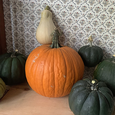 Orange and green pumpkins