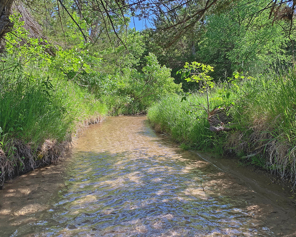 Creek approaching Niobara