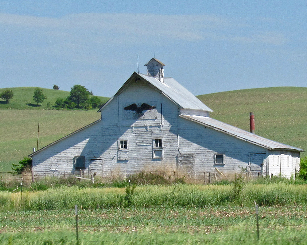 Farm near St Paul, NE