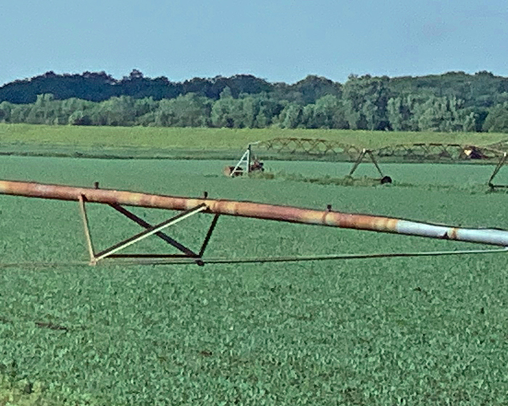 Fields in Missouri River Bottom near Iowa-Missouri border