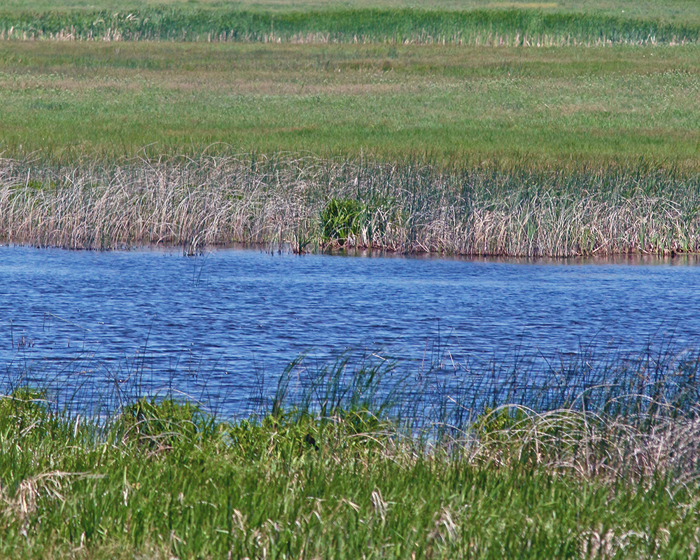 Near Bull Lake in Nebraska