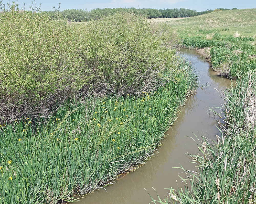 Niobrara River Agate Fossil Beds