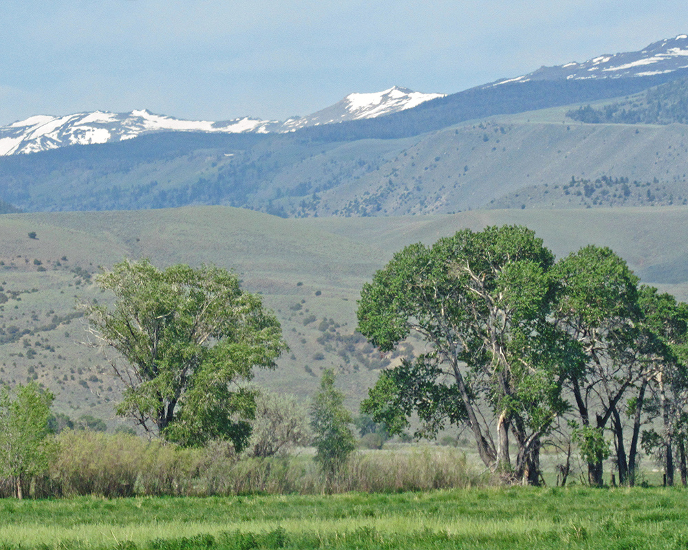 Owl Creek Range