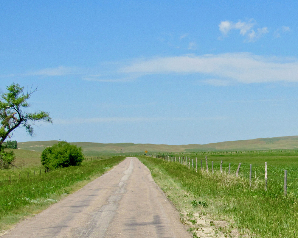 Pasture Land Brownlee Road