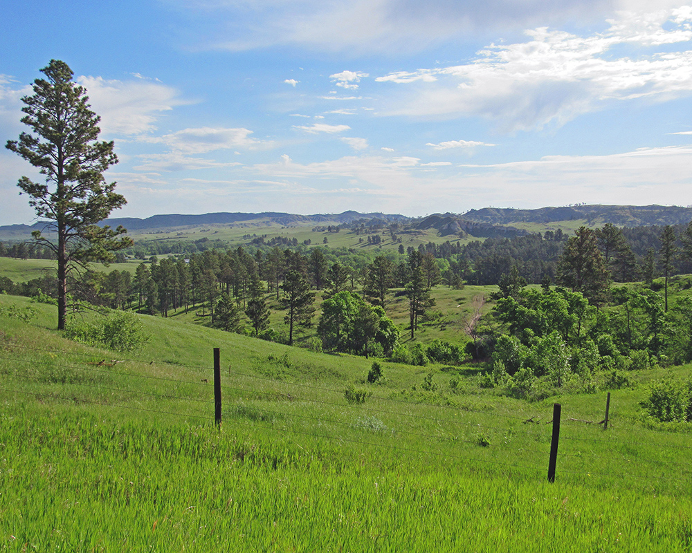 Pine Ridge Landscape Chadron