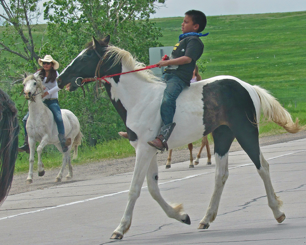 Riding Tobiano