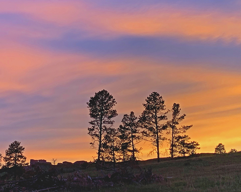 Sunset Chadron 1