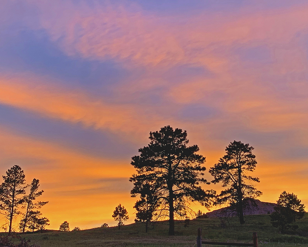 Sunset Chadron 2