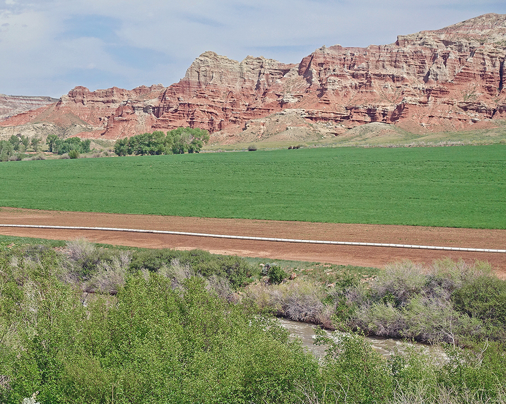 Wind River irrigated field