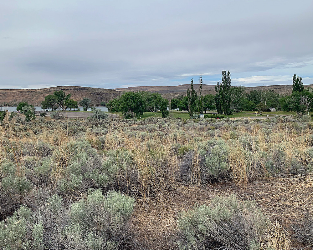 Morning view in the campground at Bully Creek Reservoir.