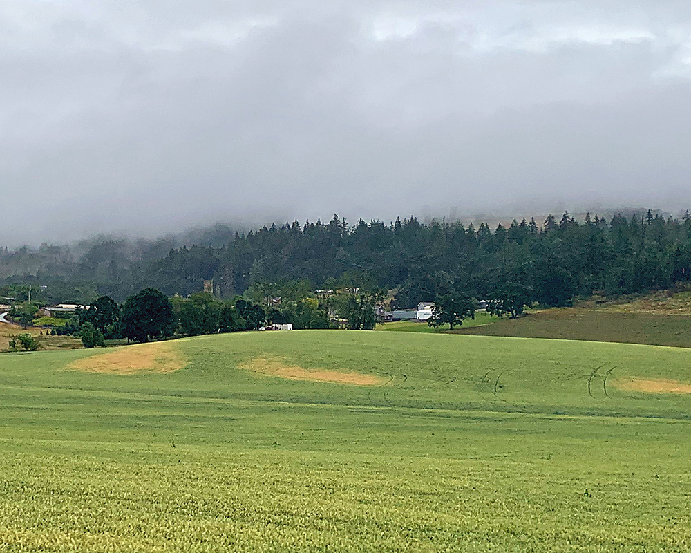 Oregon Landscape near Jefferson