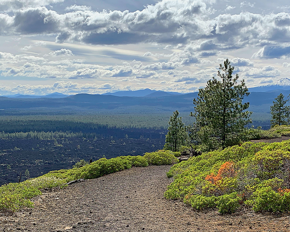 A scene in the Newberry Volcanic Park south of Bend in Oregon