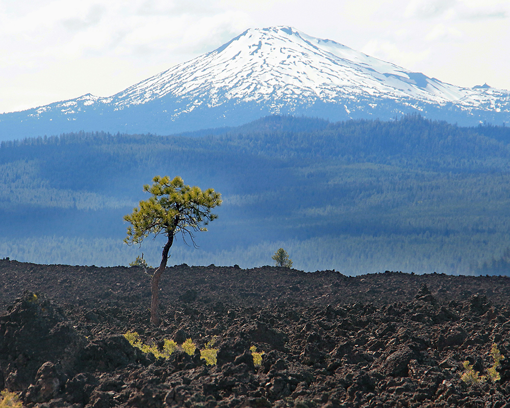 A scene in the Newberry Volcanic Park south of Bend in Oregon