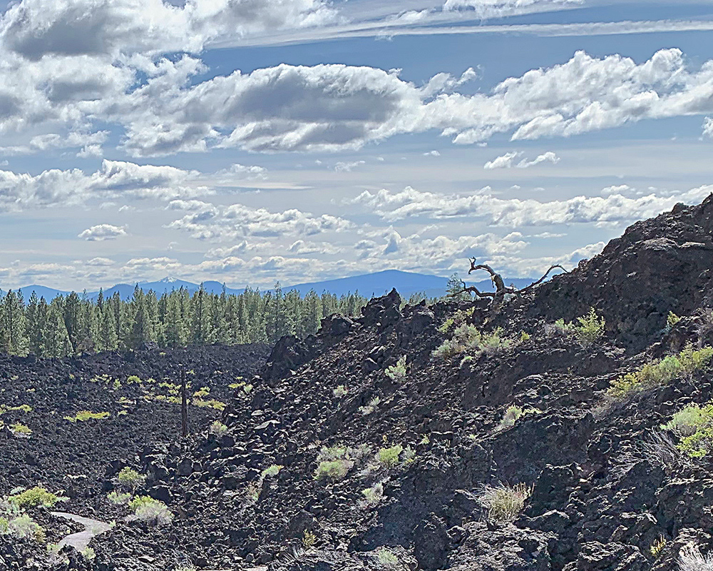 A scene in the Newberry Volcanic Park south of Bend in Oregon