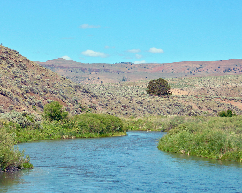 Cliffs rise up from trees along the Malheur River