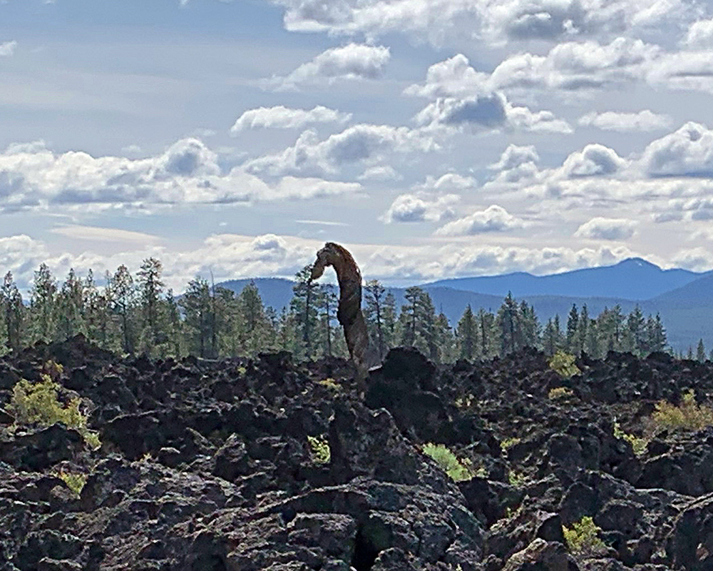 A scene in the Newberry Volcanic Park south of Bend in Oregon