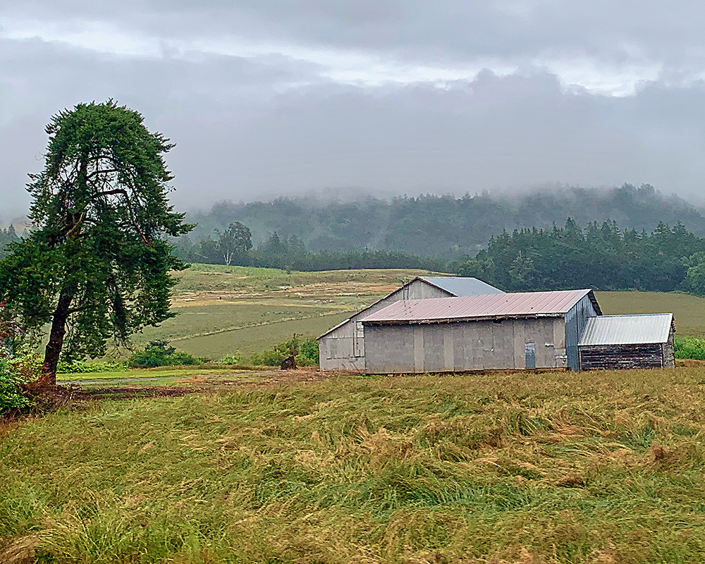 Oregon Landscape near Jefferson