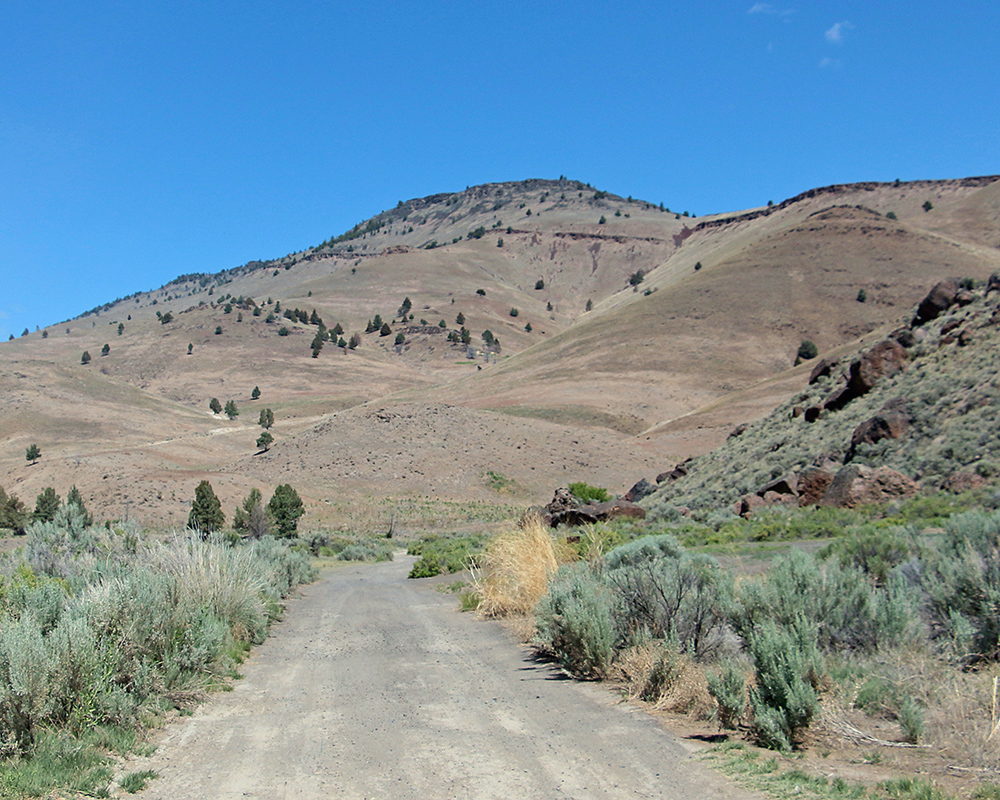 Hills rise up above Highway 20