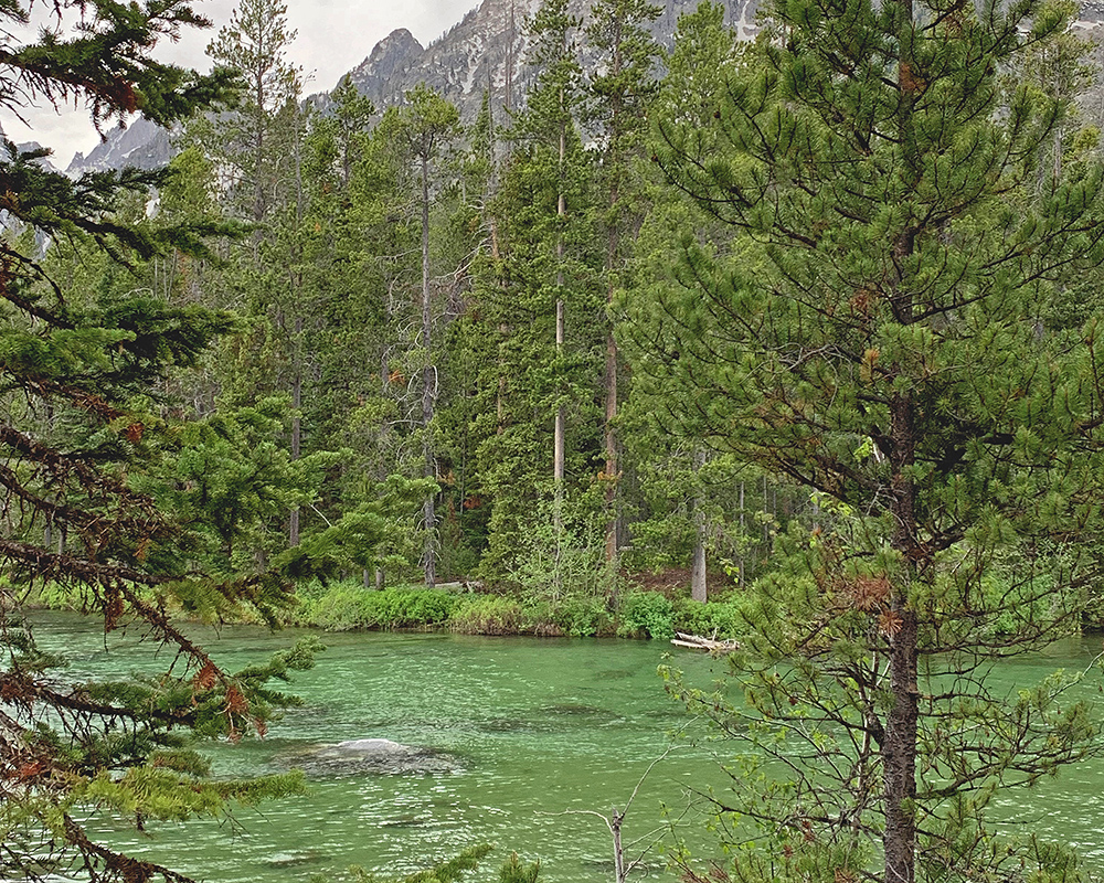 Emerald Color of String Lake 
