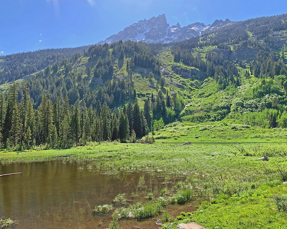 Gramd Teton from Moose Pond 