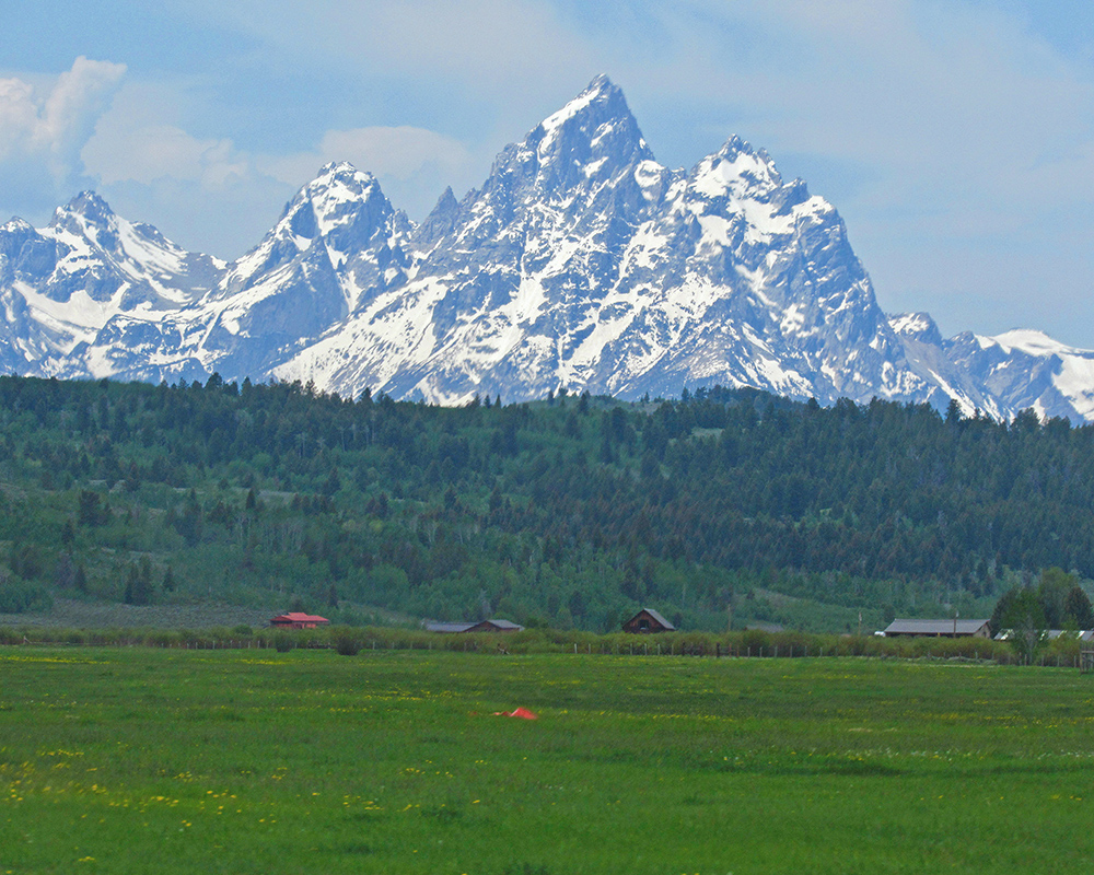 Grand Teton over grassy meadow 