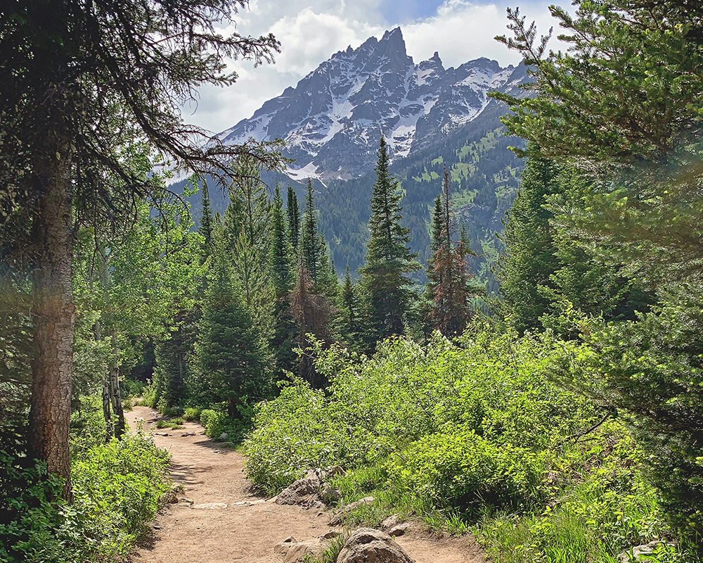 Jenny Lake Trail 