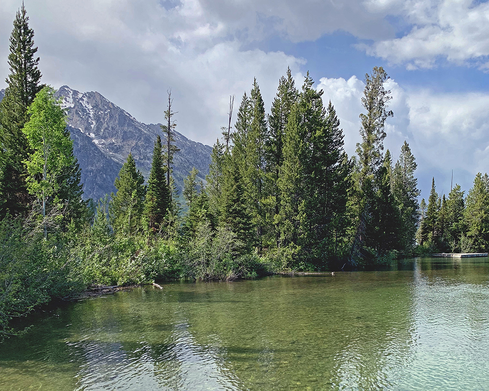 Jenny Lake shallow 