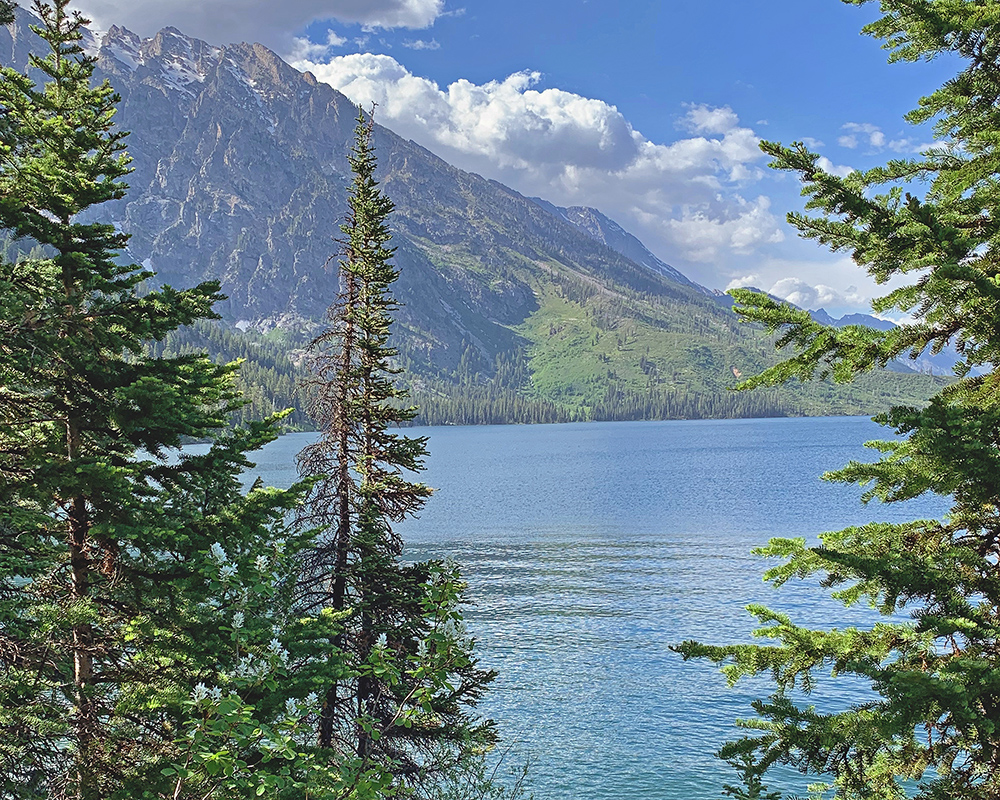 Jewel Jenny Lake 